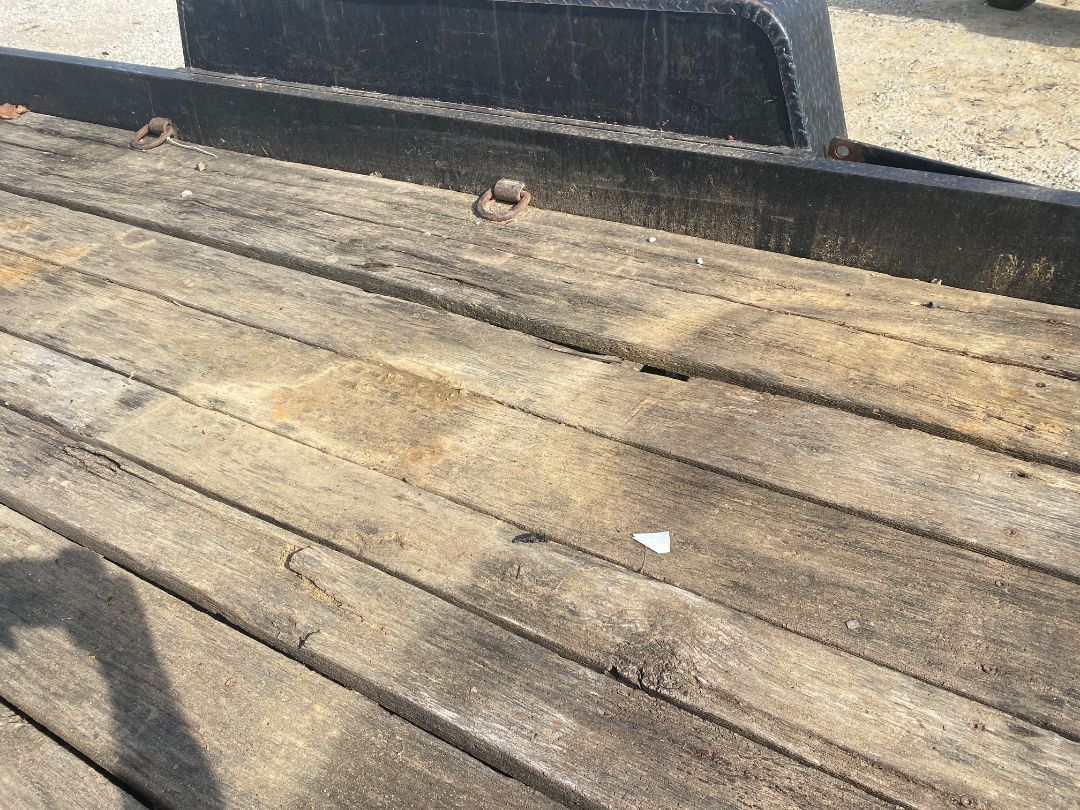 2005 STIGERS T-5162 - Image 6